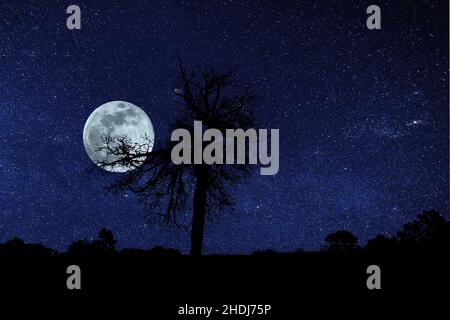 luna piena, cielo delle stelle, cielo notturno, lune piene, stella, cieli notturni Foto Stock