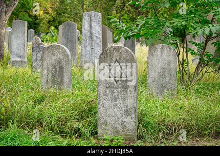 lapide, cimitero ebraico, stella di davide, lapidi, lapide, lapidi, lapidi, lapidi, cimiteri ebraici, star di davids Foto Stock