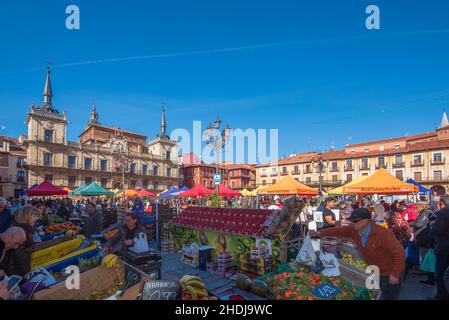 Leon, Spagna, 3 febbraio 2019. Vista del mercato tradizionale della frutta e verdura nella piazza principale di Leon. Foto Stock