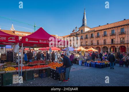 Leon, Spagna, 3 febbraio 2019. Vista del mercato tradizionale della frutta e verdura nella piazza principale di Leon. Foto Stock