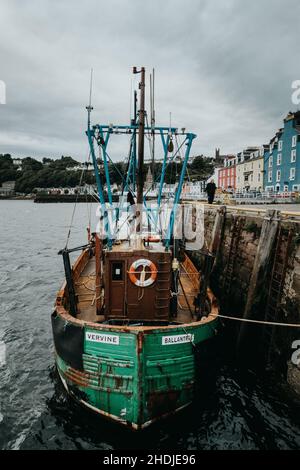 Un peschereccio a Tobermory, Mull, West Coast di Scotand Foto Stock