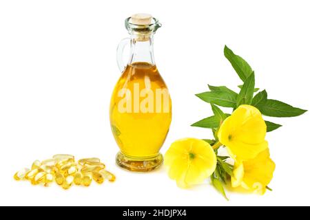 enagra, enagra Foto Stock