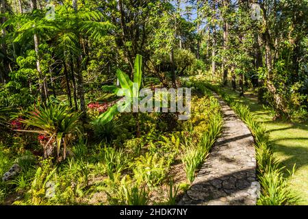 Giardini botanici sul monte Pico Isabel de Torres sopra Puerto Plata, Repubblica Dominicana Foto Stock