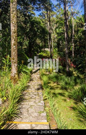 Giardini botanici sul monte Pico Isabel de Torres sopra Puerto Plata, Repubblica Dominicana Foto Stock