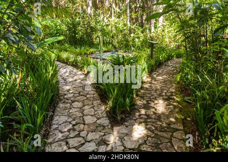 Sentieri nei giardini botanici al monte Pico Isabel de Torres sopra Puerto Plata, Repubblica Dominicana Foto Stock