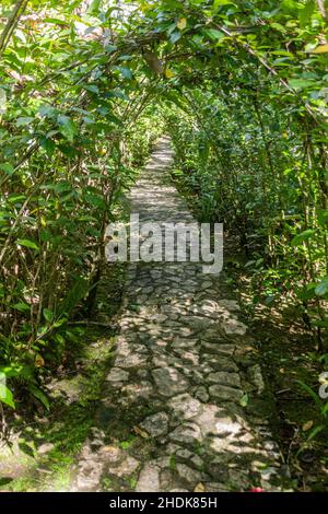 Percorso nei giardini botanici al monte Pico Isabel de Torres sopra Puerto Plata, Repubblica Dominicana Foto Stock