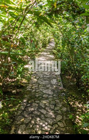 Percorso nei giardini botanici al monte Pico Isabel de Torres sopra Puerto Plata, Repubblica Dominicana Foto Stock