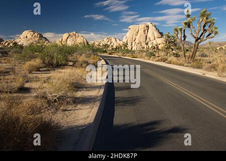 road, parco nazionale di joshua tree, strade, strade, strade, parchi nazionali di joshua tree Foto Stock