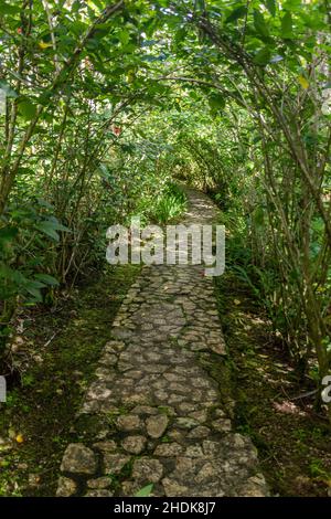 Percorso nei giardini botanici al monte Pico Isabel de Torres sopra Puerto Plata, Repubblica Dominicana Foto Stock