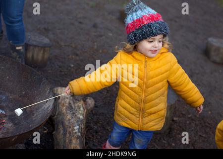 Bambini che cucinano marshmallows sopra un fuoco aperto, Regno Unito Foto Stock