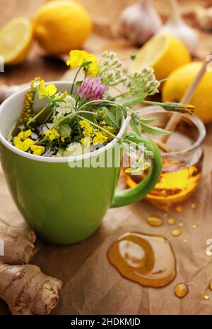 erbe, tisane, erbe, tisane Foto Stock