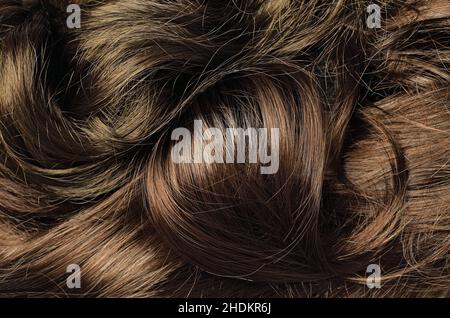 brunette, capelli, ricci, ciocche di capelli, brunette, capelli, ricci, ricci, ricci, ricci Foto Stock