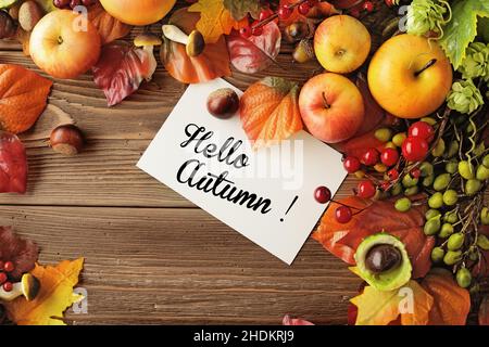 autunno, autunno Foto Stock
