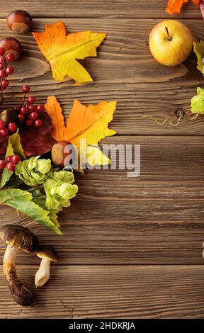 autunno, foglie, frutta, caduta, foglia, frutta Foto Stock