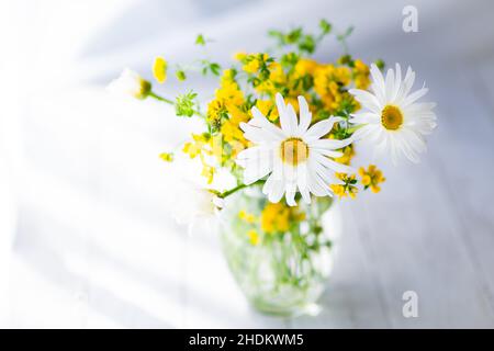 Happy Mother's Day primavera sfondo floreale con spazio per la copia del testo Foto Stock