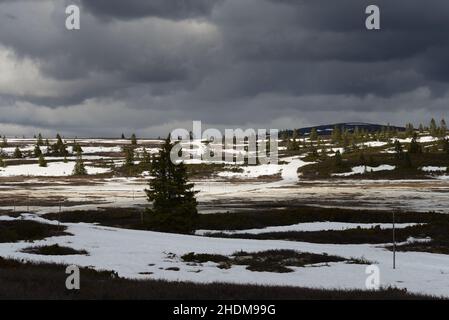 Paesaggio primaverile con neve sciogliente in una zona di montagna a Hallingdal Norvegia. Piste da sci di fondo ancora visibili. Foto Stock