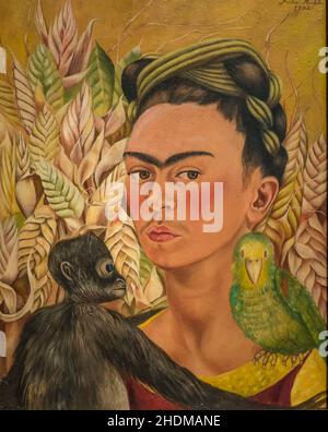 Frida Kahlo autoritratto con Monkey e Parrot 1942 olio su masonite nel museo MALBA, Buenos Aires, Argentina Foto Stock