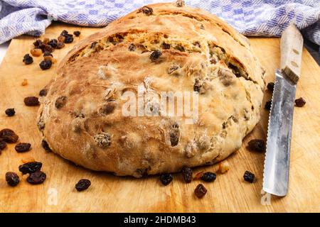pane di uva passa, pane di uva passa Foto Stock