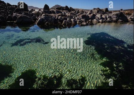 Una piscina di roccia naturale lungo la costa occidentale del Sud Africa. La bellezza e il carattere della costa sono espressi dal suo terreno accidentato e accidentato Foto Stock