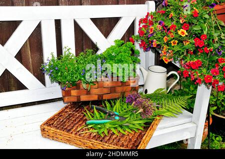 giardino, vita morta, stile di campagna, decorazione del giardino, giardini, ancora lifes, stili di paese, decorazioni di giardino Foto Stock