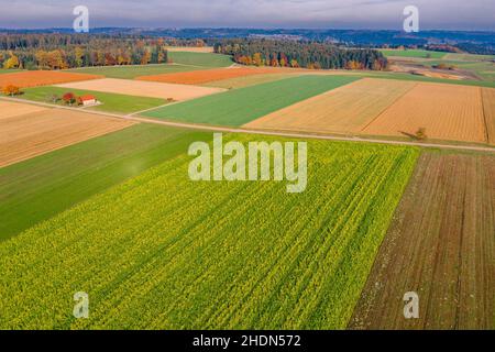 campo, agricoltura, terreno agricolo, campi, agricoltura, terreni agricoli Foto Stock