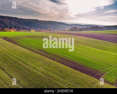 campo, agricoltura, terreno agricolo, campi, agricoltura, terreni agricoli Foto Stock