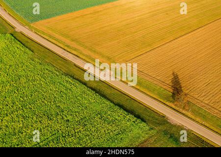 campo, strada, campi, strade, strada, strade Foto Stock