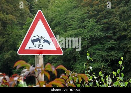 segnale di avvertimento, sorpasso del cervo, strada scivolosa, segnali di avvertimento, strade sdrucciolevoli Foto Stock