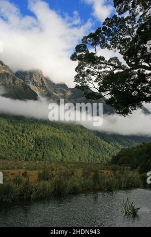 nuova zelanda, milford sound, nuove zealands, milford sounds Foto Stock
