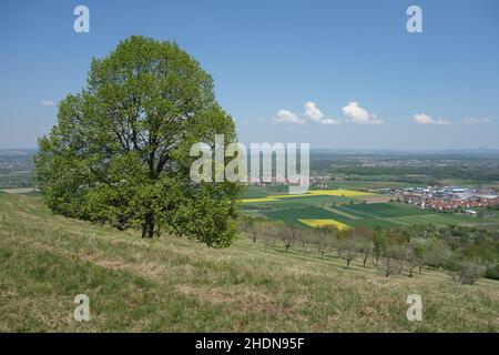 baden-wurttemberg, bissingen an der teck, baden-württembergs Foto Stock