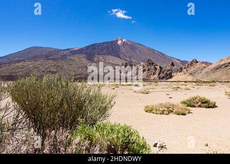 tenerife, pico del teide, tenerifes, pico del teides Foto Stock