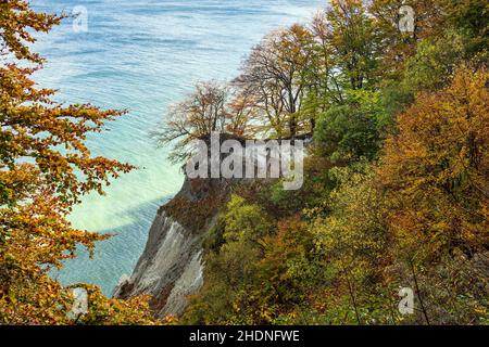 roccia calcarea, costa del mar baltico, mons klint, rocce di gesso, coste del mar baltico Foto Stock
