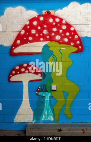 Wall art in Albuquerque vicolo, New Mexico Foto Stock