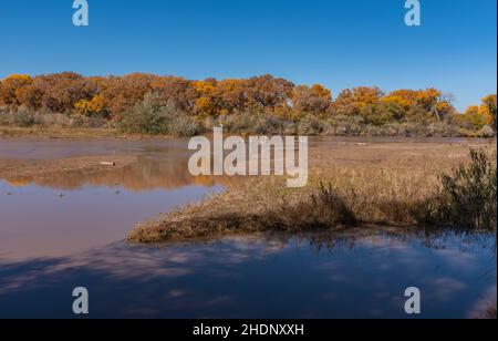 Medio Rio Grande attraverso Albuquerque, New Mexico Foto Stock