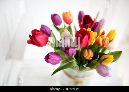 bouquet, bouquet di tulipani, bouquet di tulipani, bouquet di tulipani Foto Stock