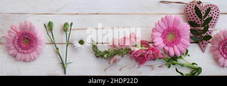 primavera, fiori, madri giorno, fiore, fiore valentain, giorni delle madri Foto Stock
