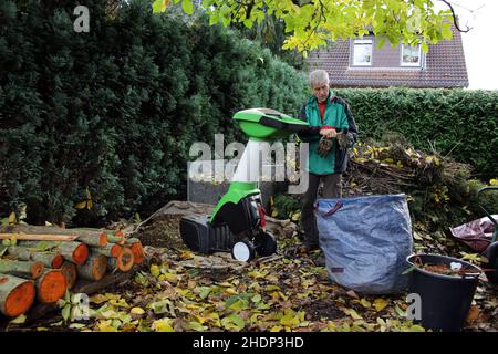 giardino, giardinaggio, häcksler, giardini, cura di piante, tendente di piante Foto Stock