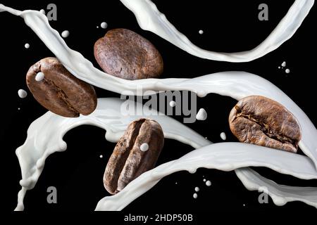 latte, latte, fagioli di caffè, latte, lattes, chicchi di caffè Foto Stock