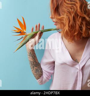 donna, capelli rossi, uccello del paradiso, femmina, signore, signora, donne, capelli rossi, uccello di paradisi Foto Stock