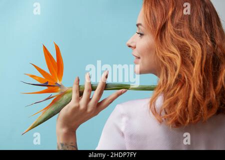 capelli rossi, uccello di paradiso, capelli rossi, uccello di paradisi Foto Stock