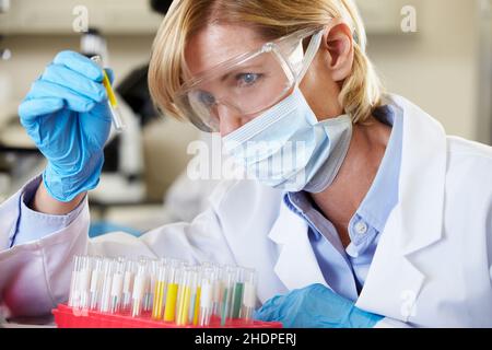 ricerca, assistente di laboratorio, scienziato, ricerca, assistenti di laboratorio, scienziati Foto Stock