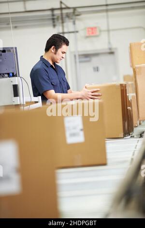 logistica, imballaggio, addetto al magazzino, società di ordini postali, logistica, addetti al commercio e al magazzino Foto Stock