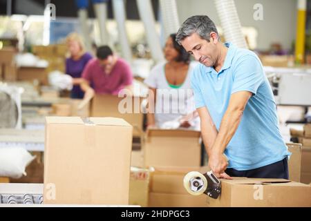 logistica, imballaggio, waren, addetto al magazzino, società di ordini postali, logistica, commercio, verruche, magazzini Foto Stock