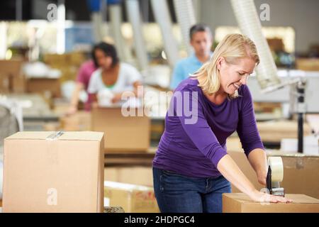 logistica, imballaggio, waren, addetto al magazzino, società di ordini postali, logistica, commercio, verruche, magazzini Foto Stock