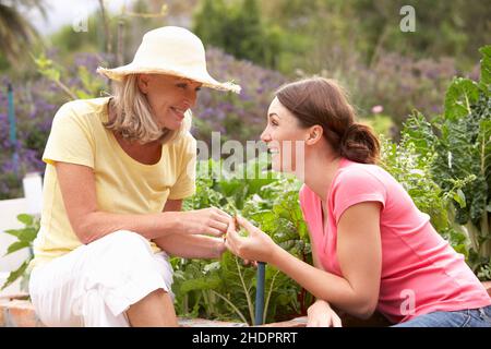 madre, giardino, giardinaggio, figlia, cliente di erbe, mamma, madri, mamma, giardini, cura di piante, tendente di piante, figlie Foto Stock