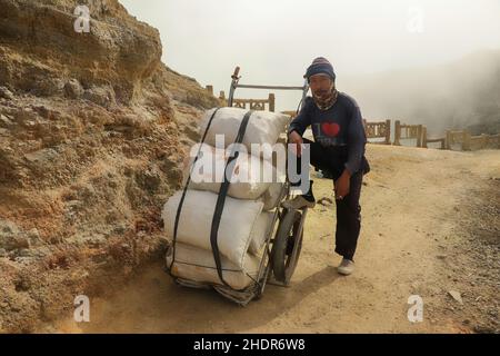 Kawah Ijen, Giava orientale, Indonesia, 2 giugno 2021. Minatore con un carrello completamente carico con sacchetti di zolfo Foto Stock