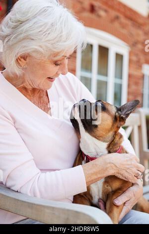 anziano, cane, affetto, anziano, anziano, anziani, cani, affetti Foto Stock