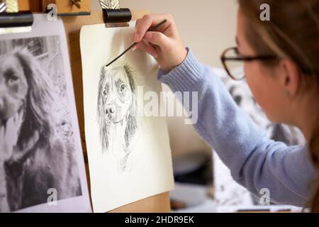 ritratto animale, disegno, esemplare, matita di carbonio, ritratti animali, esempi, modello Foto Stock