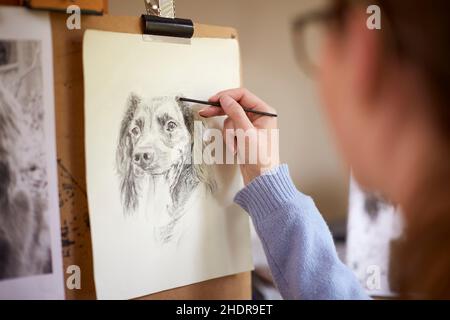 ritratto animale, cane, disegno, matita di carbonio, ritratti animali, cani Foto Stock