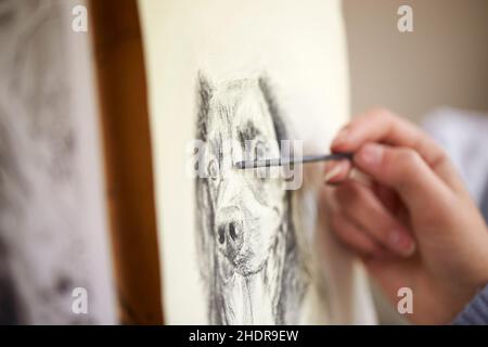 cane, disegno, matita di carbonio, cani Foto Stock